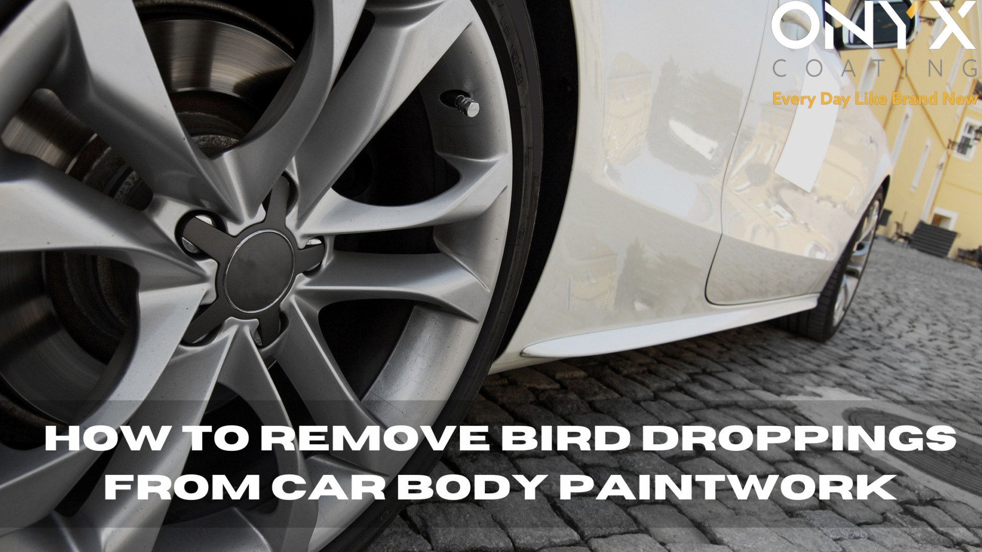 How to remove bird droppings from car body paintwork